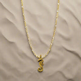 CHARMED steel necklace with sea horse pendant