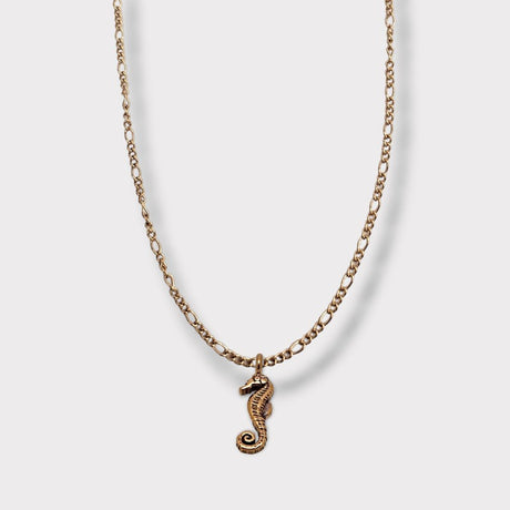 CHARMED steel necklace with sea horse pendant