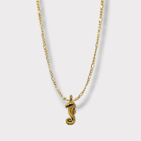CHARMED steel necklace with sea horse pendant
